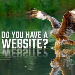 Do You Have a Website