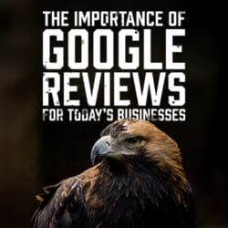 GoogleReviews