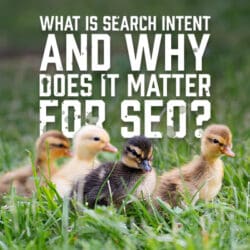 MatterSEo