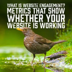 WebsiteEngagement