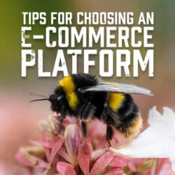 Tips for Choosing an E-Commerce Platform